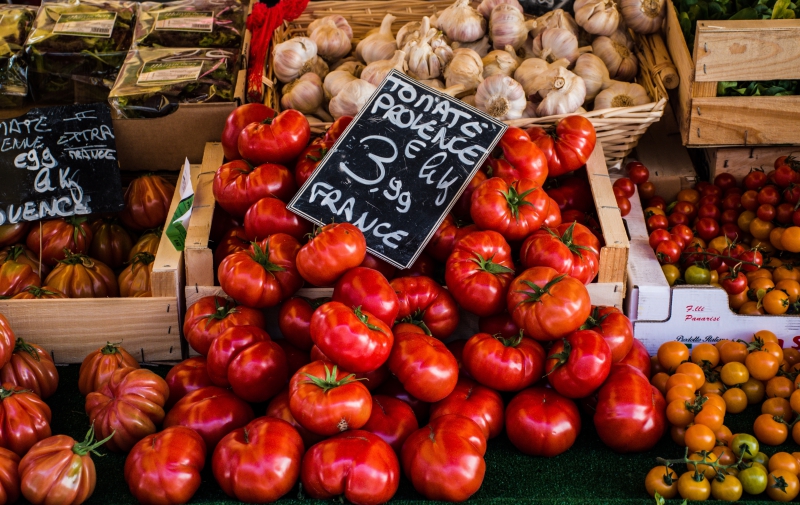 primeur-LE THORONET-min_tomatoes-4050245